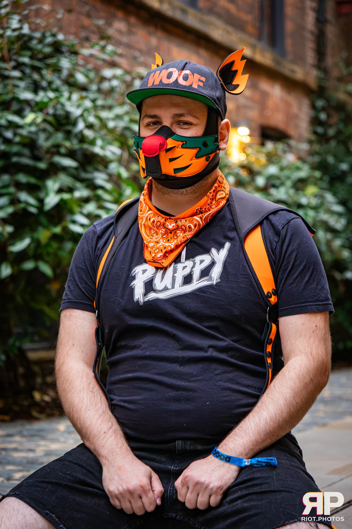 Doggy Weekend 2026 - 18 Oct 2026, Fluffy Riot photography - photo 581