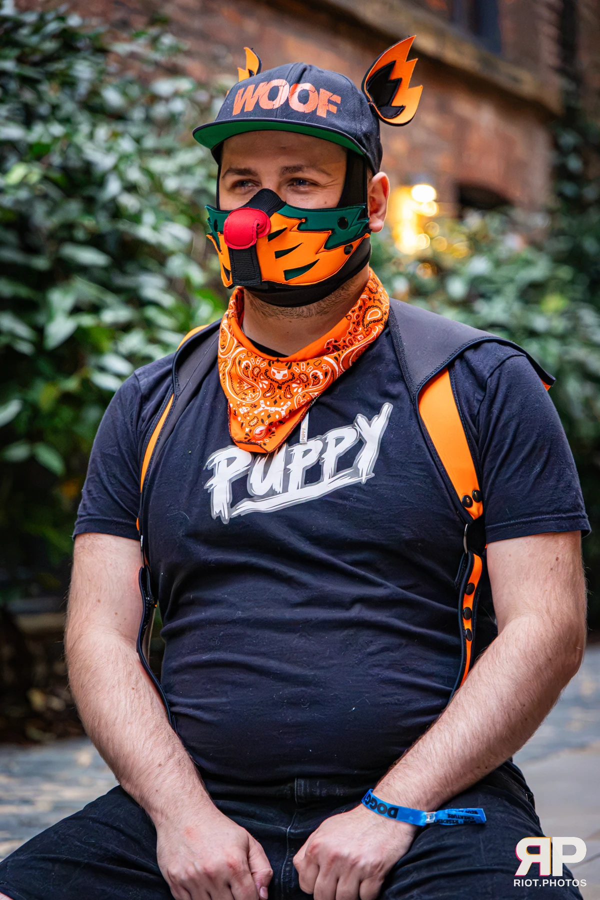Doggy Weekend 2026 - 18 Oct 2026, Fluffy Riot photography - photo 578