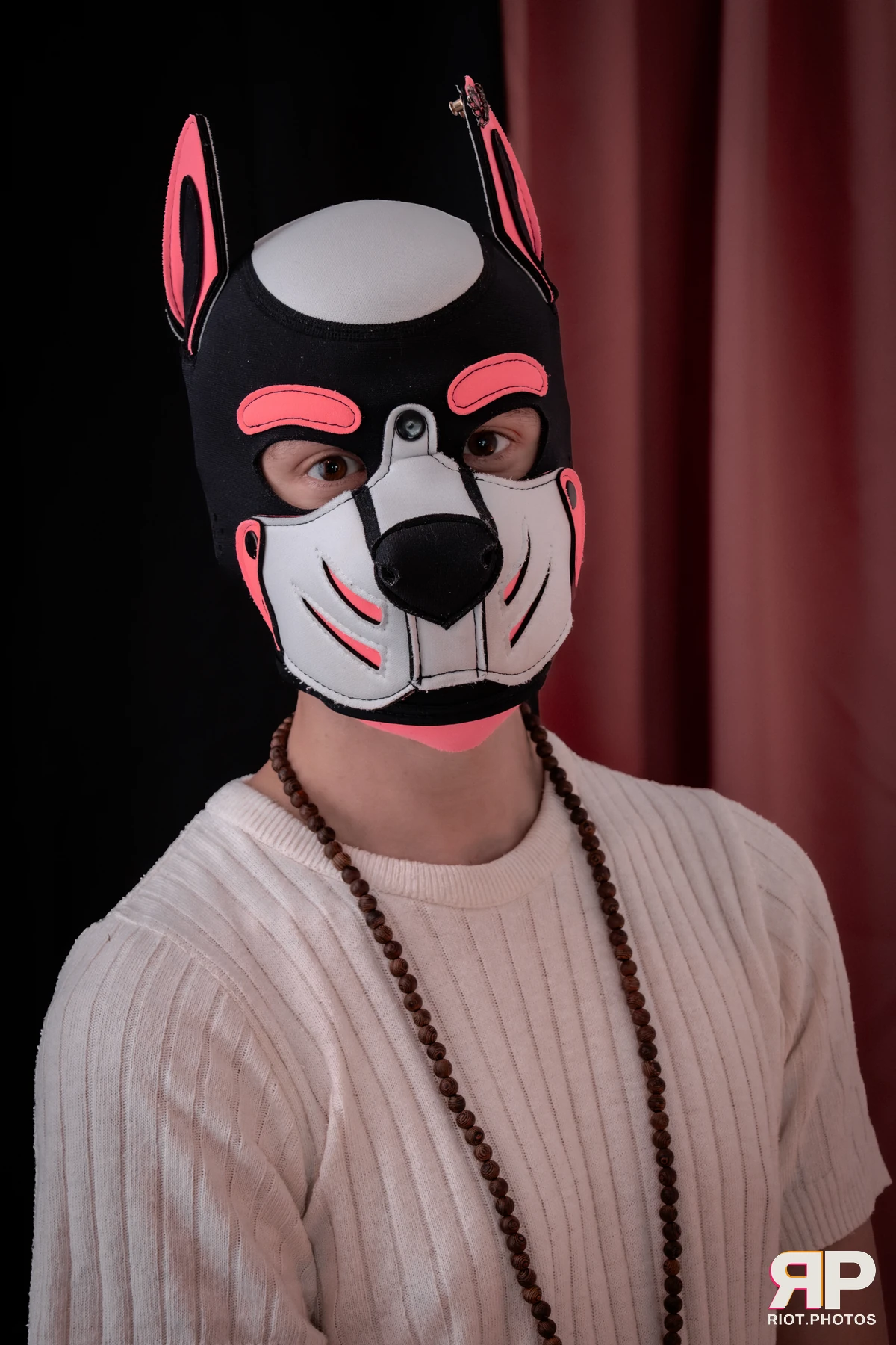 Pup TayTay — furry & pup photography by Fluffy Riot — photo 18