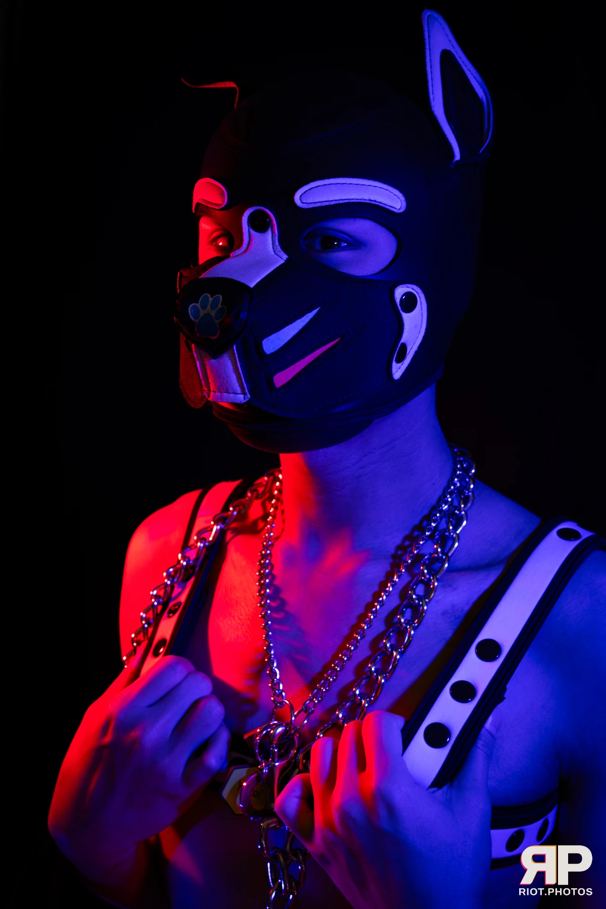 Pup Kaiju — furry & pup photography by Fluffy Riot — photo 9