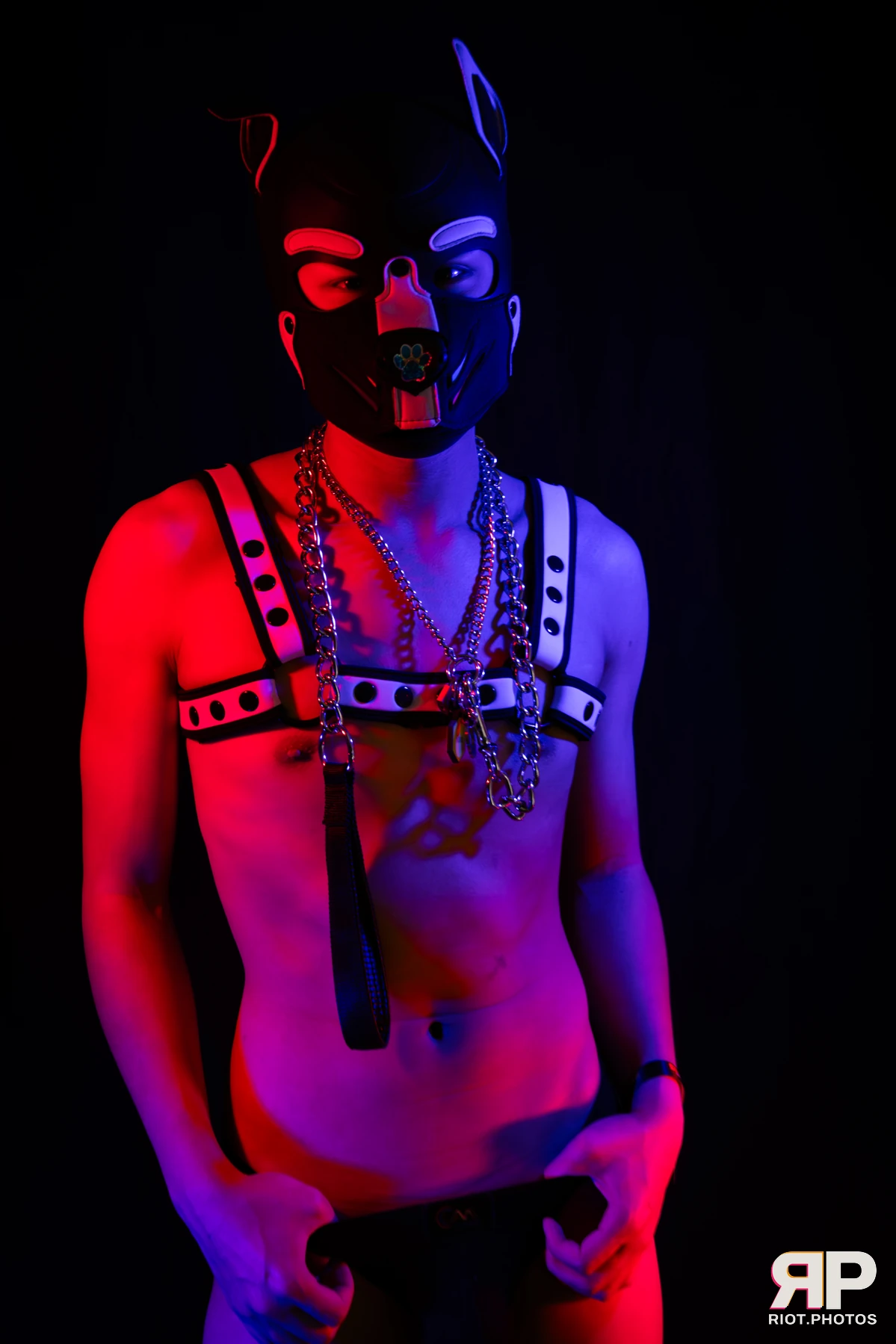 Pup Kaiju — furry & pup photography by Fluffy Riot — photo 10