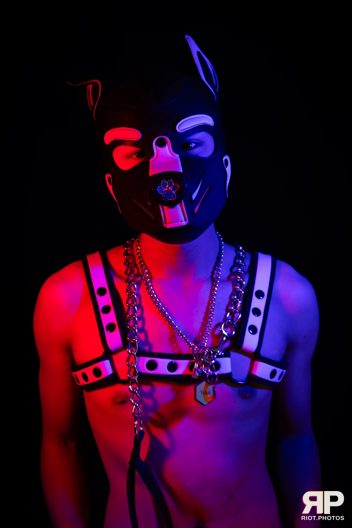 Pup Kaiju — furry & pup photography by Fluffy Riot — photo 14
