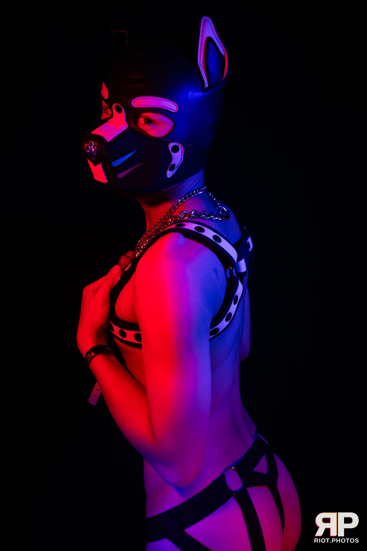 Pup Kaiju — furry & pup photography by Fluffy Riot — photo 16