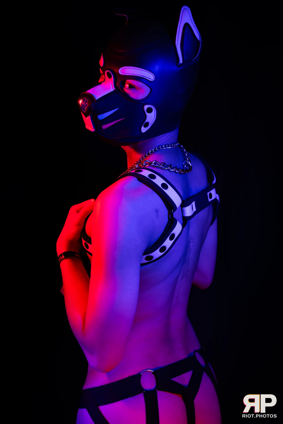 Pup Kaiju — furry & pup photography by Fluffy Riot — photo 17