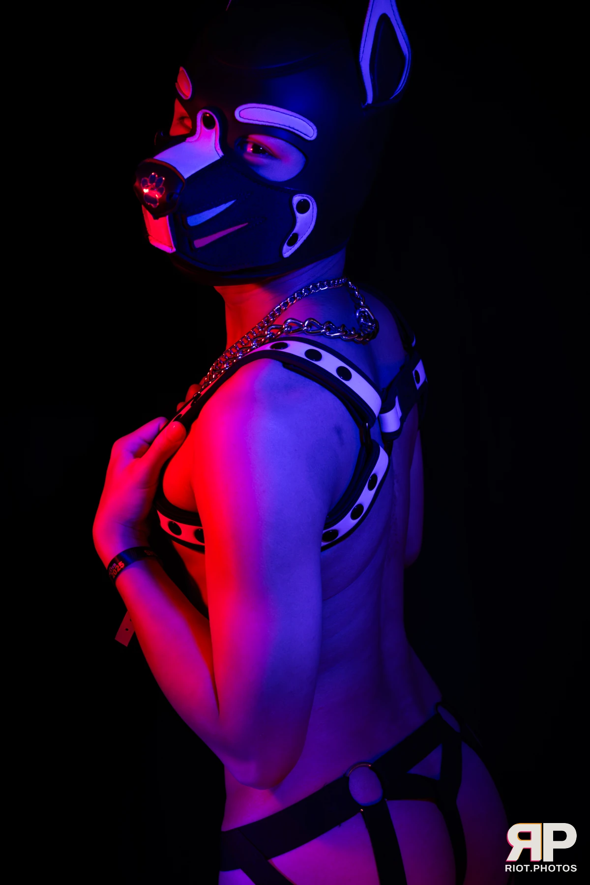 Pup Kaiju — furry & pup photography by Fluffy Riot — photo 18