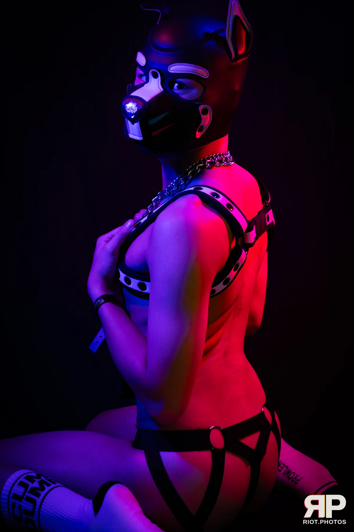 Pup Kaiju — furry & pup photography by Fluffy Riot — photo 20