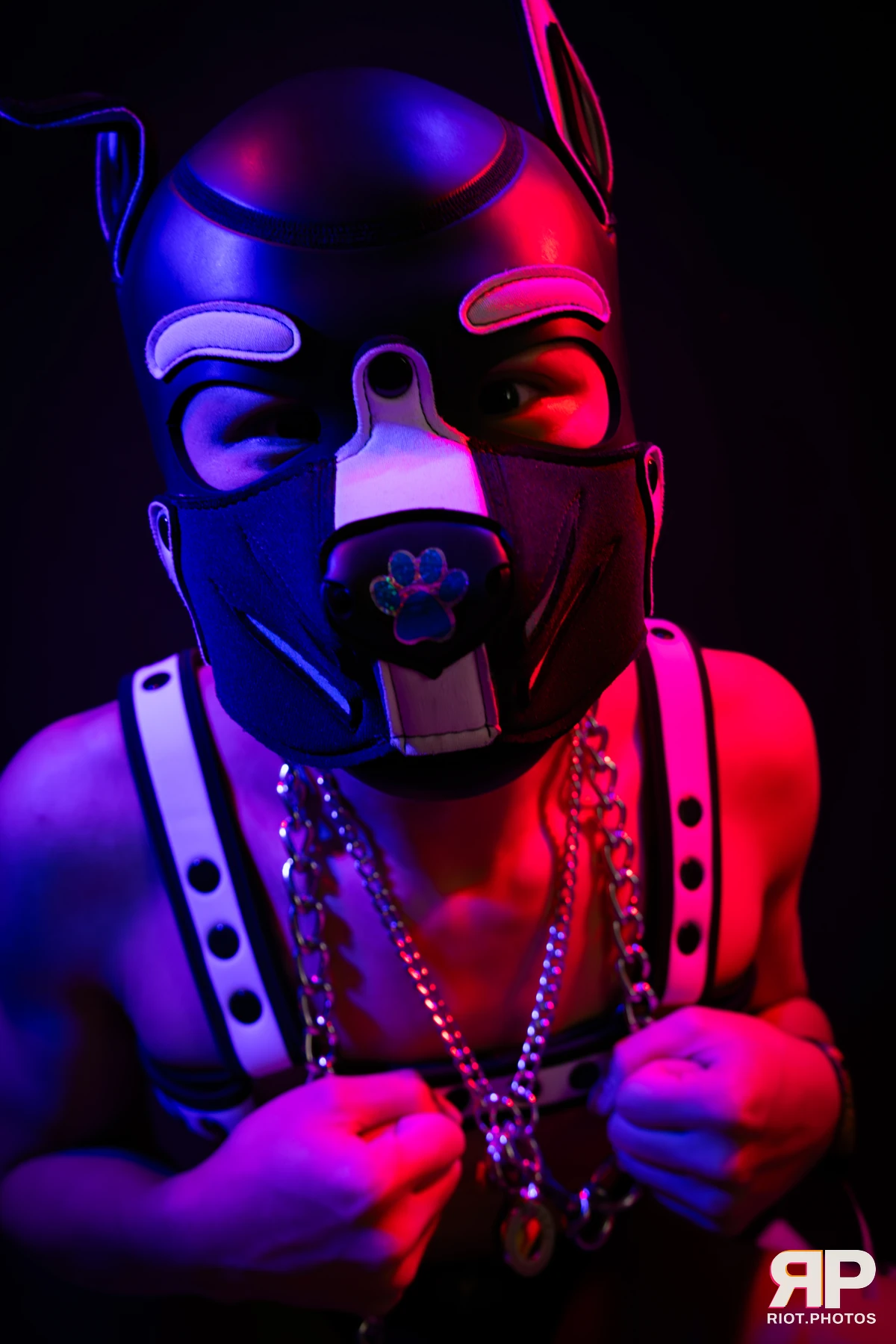 Pup Kaiju — furry & pup photography by Fluffy Riot — photo 24