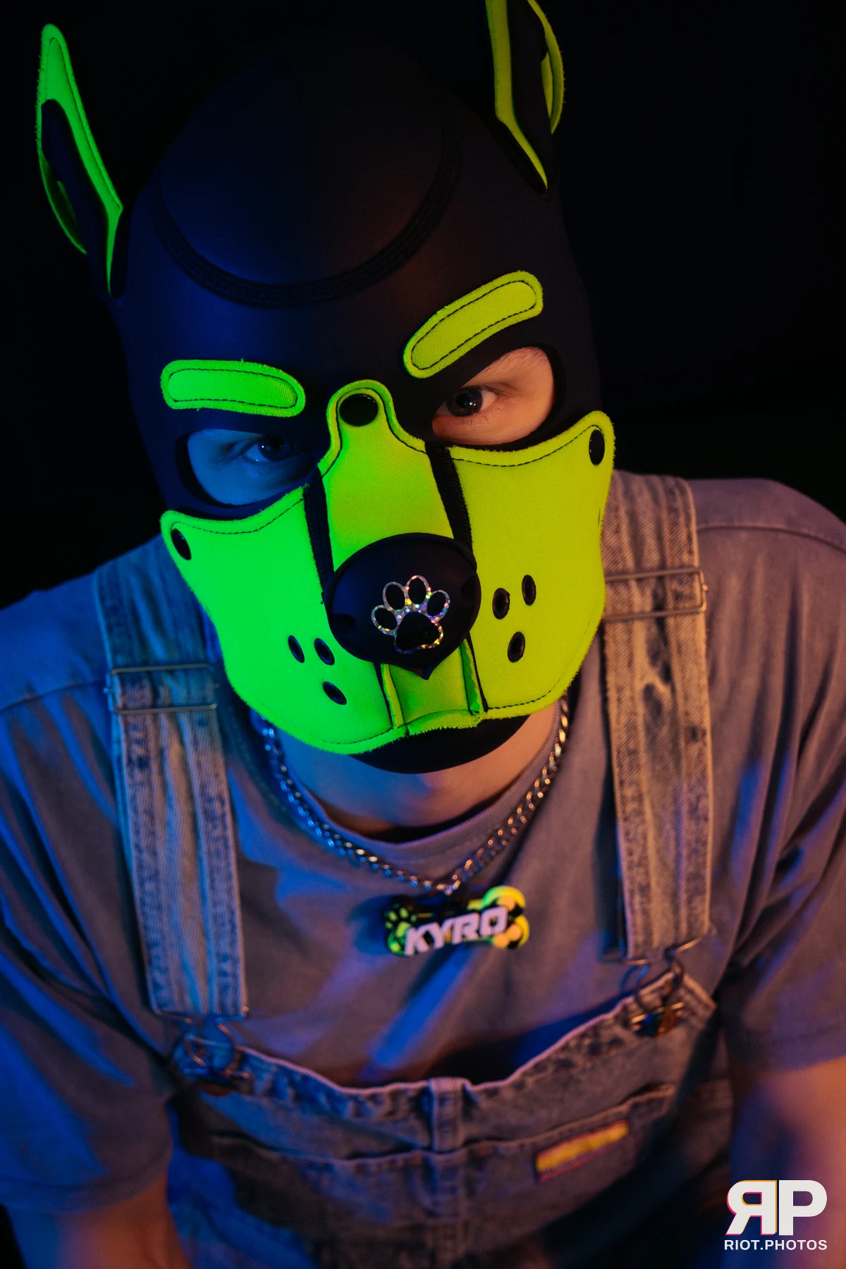 Pupper Kyro — furry & pup photography by Fluffy Riot — photo 4