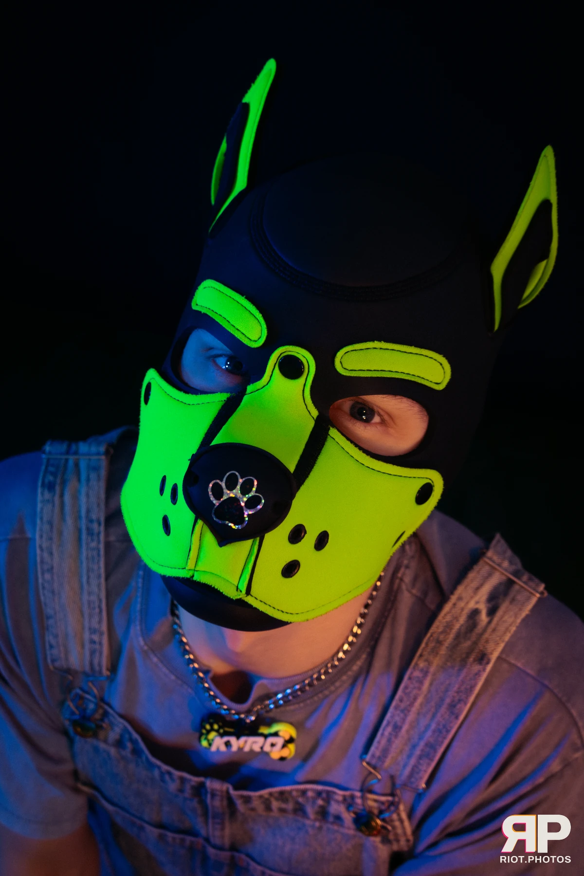 Pupper Kyro — furry & pup photography by Fluffy Riot — photo 5