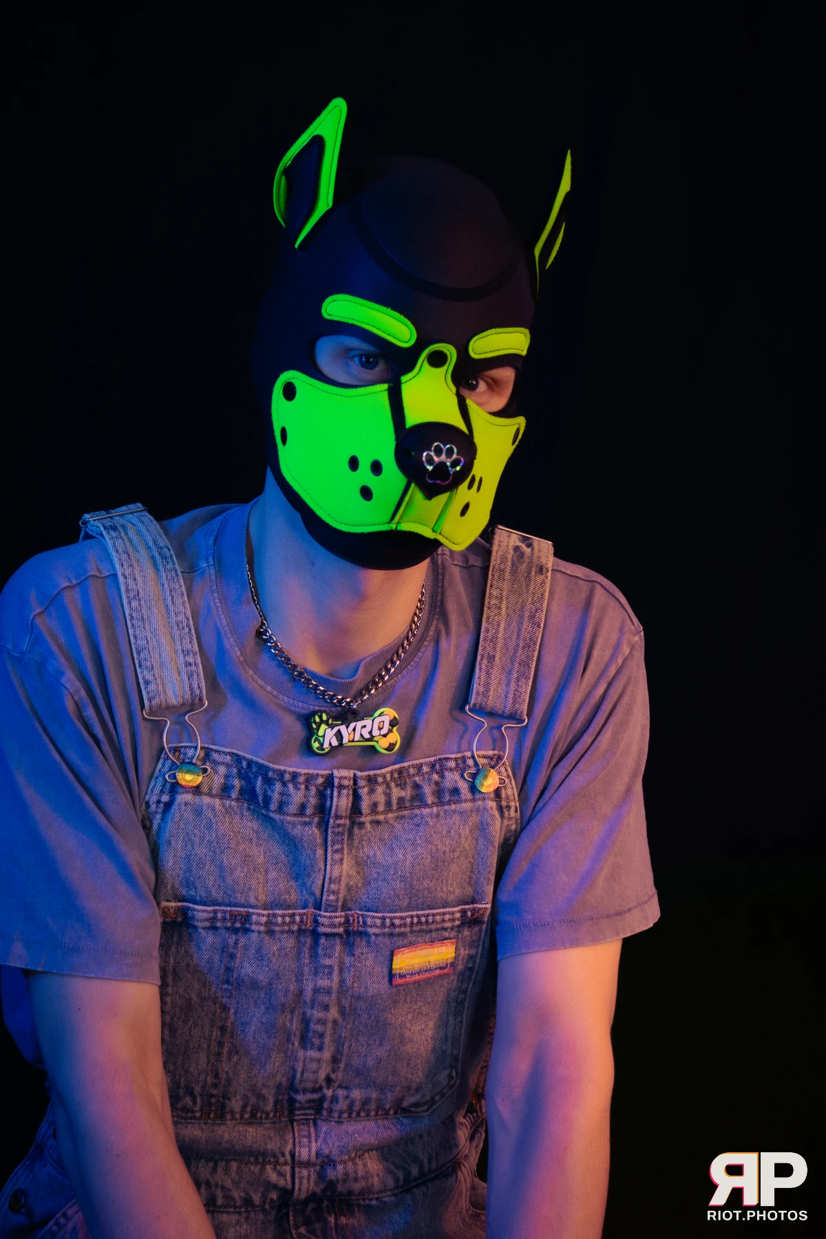 Pupper Kyro — furry & pup photography by Fluffy Riot — photo 7