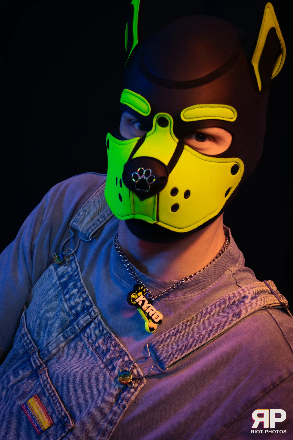 Pupper Kyro — furry & pup photography by Fluffy Riot — photo 8