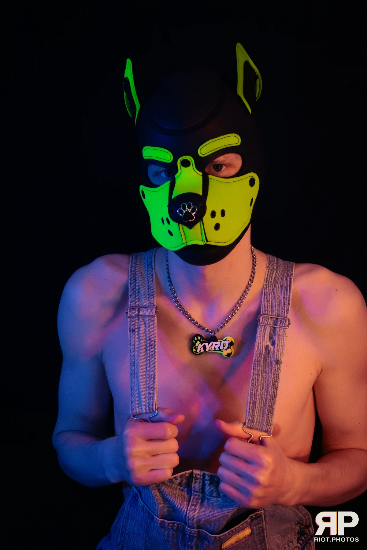 Pupper Kyro — furry & pup photography by Fluffy Riot — photo 12