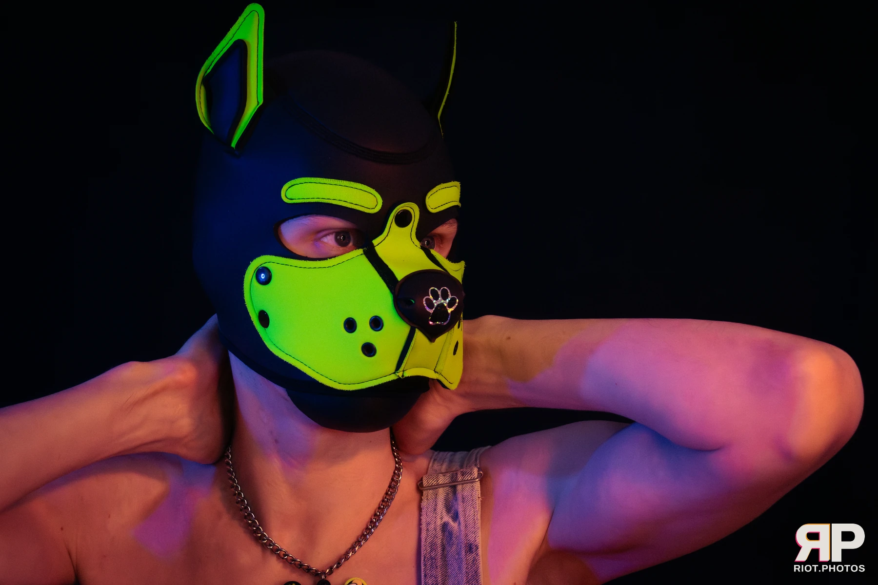 Pupper Kyro — furry & pup photography by Fluffy Riot — photo 17