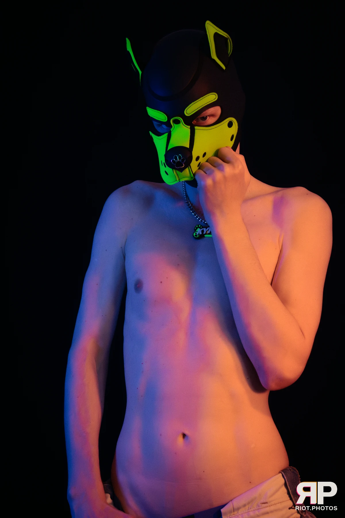 Pupper Kyro — furry & pup photography by Fluffy Riot — photo 18