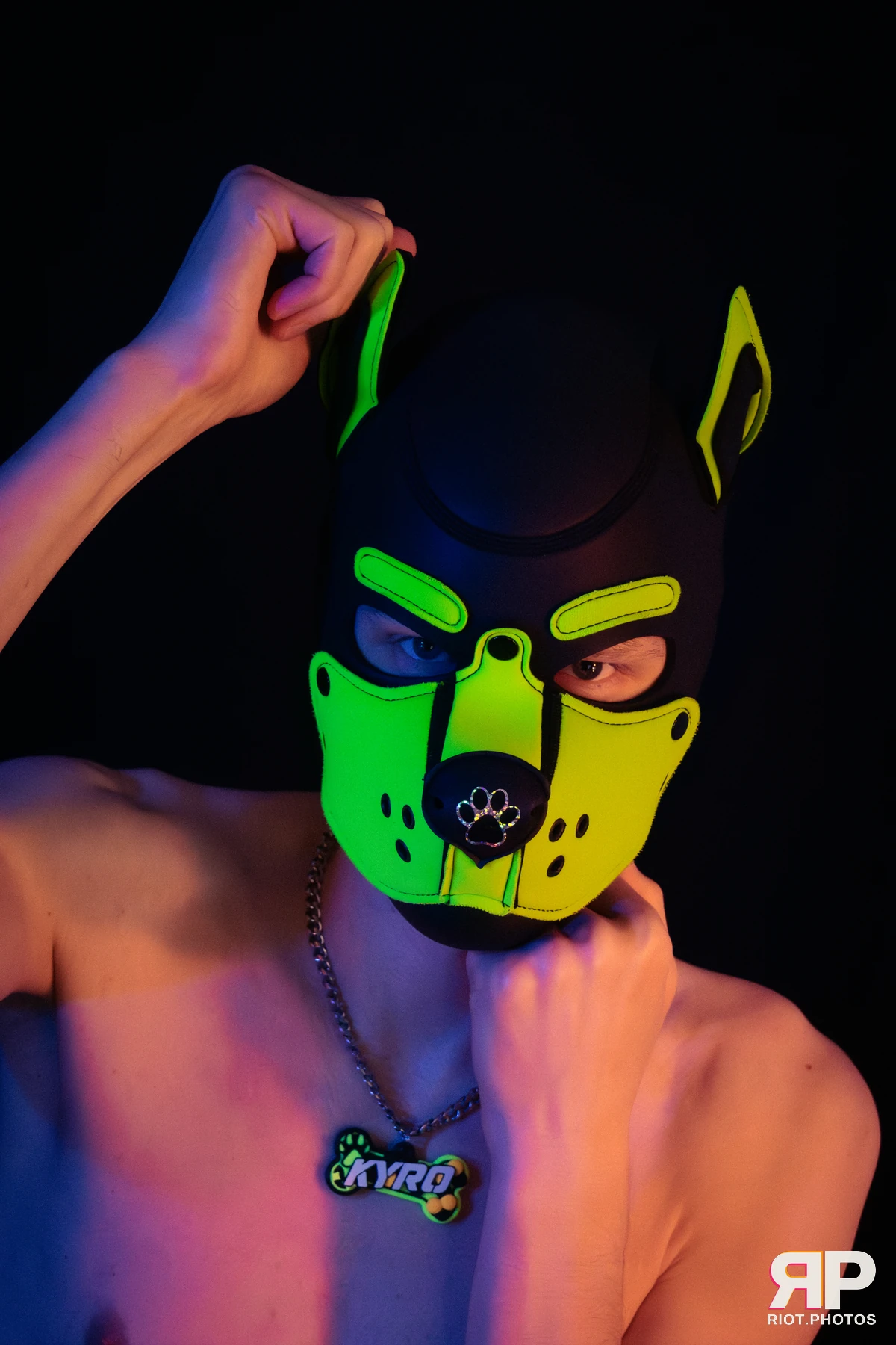 Pupper Kyro — furry & pup photography by Fluffy Riot — photo 20