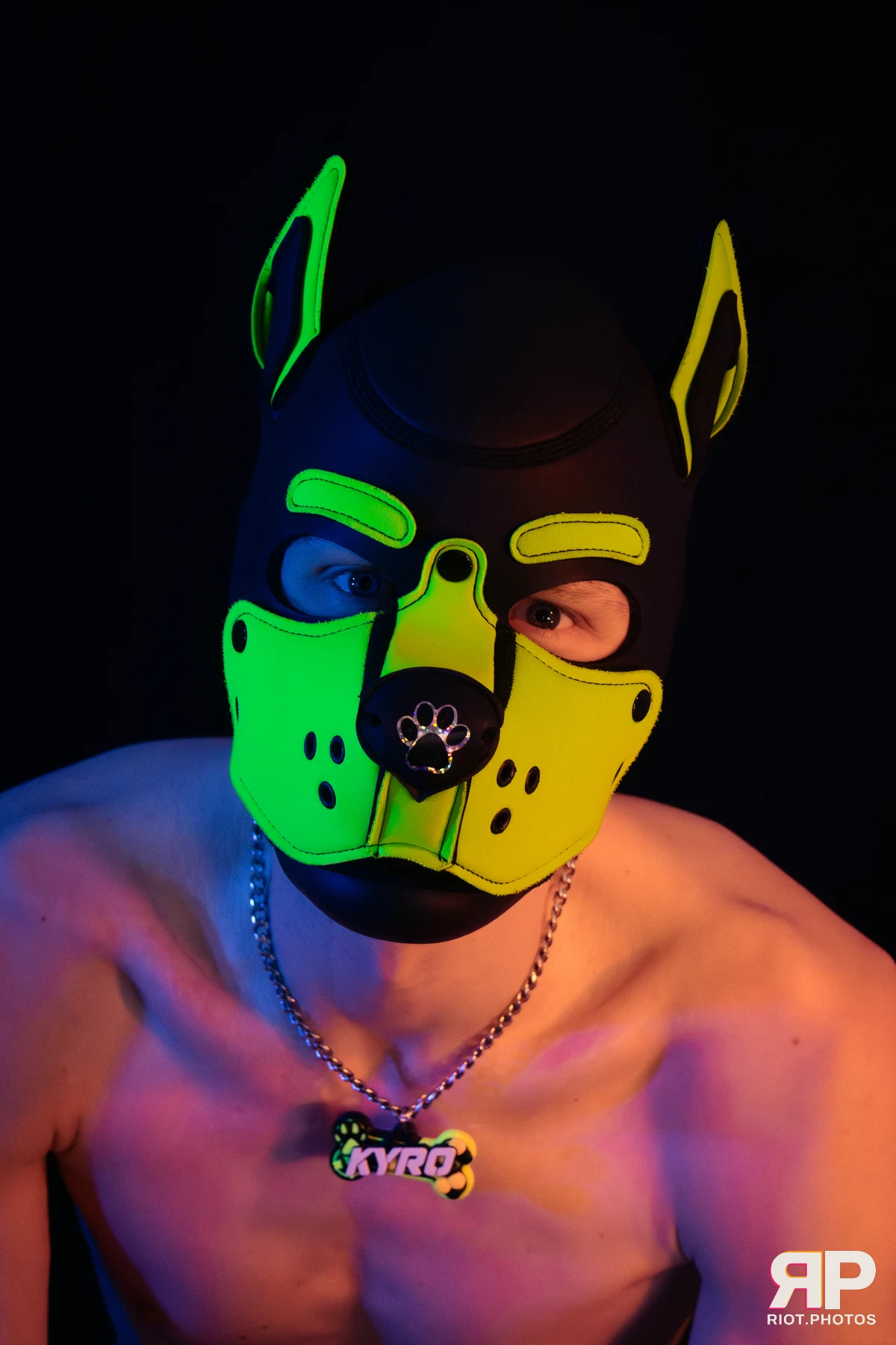 Pupper Kyro — furry & pup photography by Fluffy Riot — photo 24