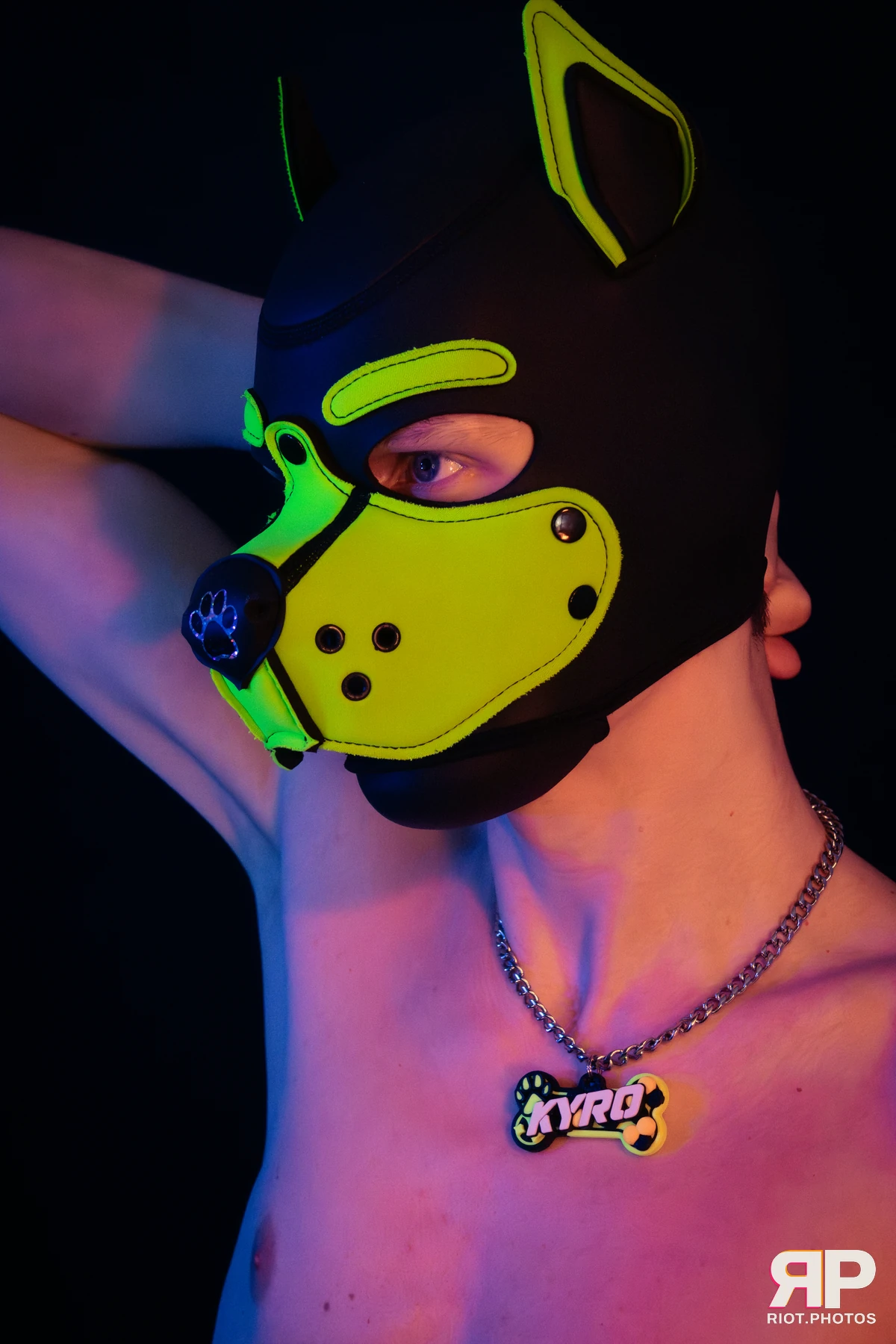 Pupper Kyro — furry & pup photography by Fluffy Riot — photo 26