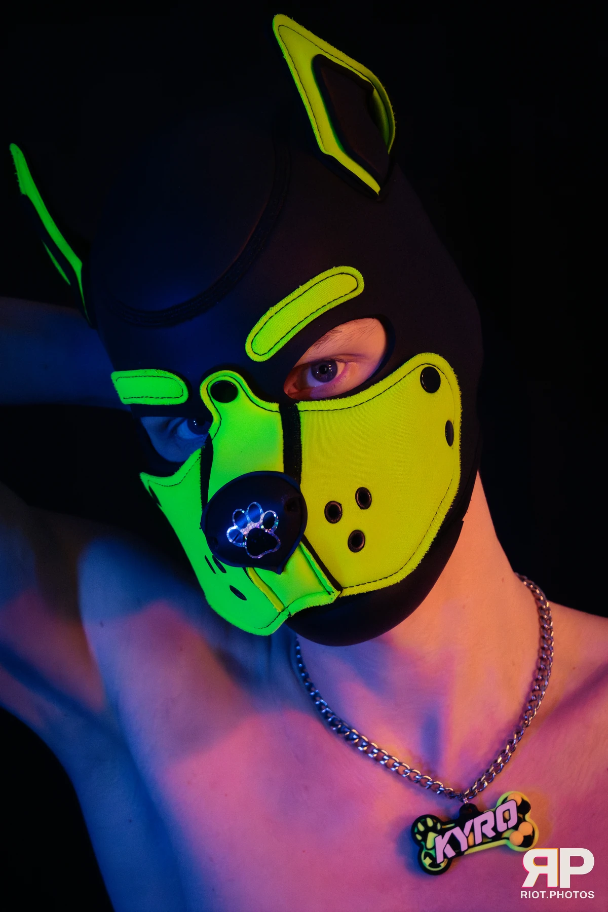 Pupper Kyro — furry & pup photography by Fluffy Riot — photo 27