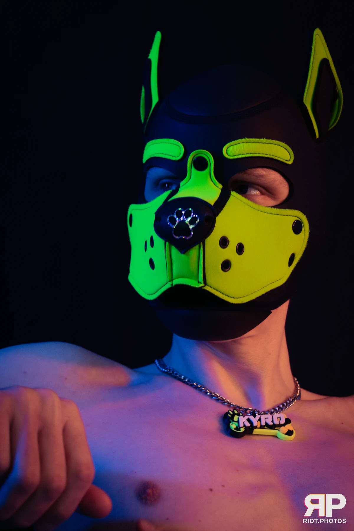 Pupper Kyro — furry & pup photography by Fluffy Riot — photo 29