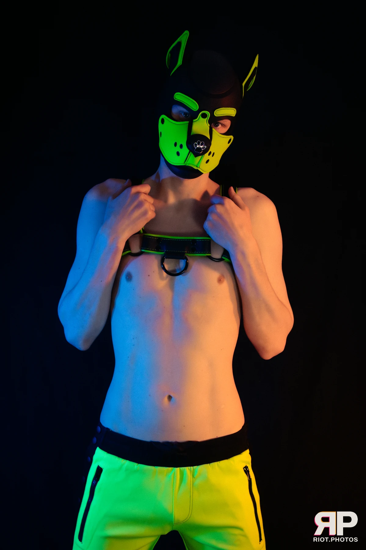 Pupper Kyro — furry & pup photography by Fluffy Riot — photo 30