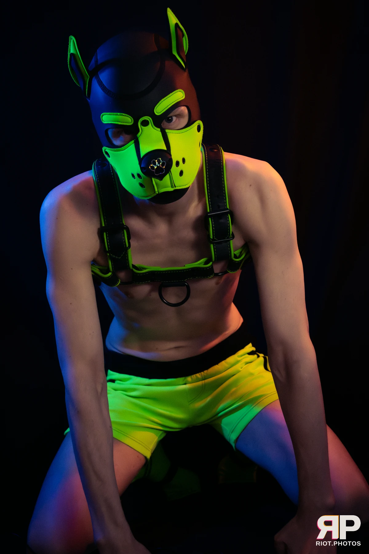 Pupper Kyro — furry & pup photography by Fluffy Riot — photo 33