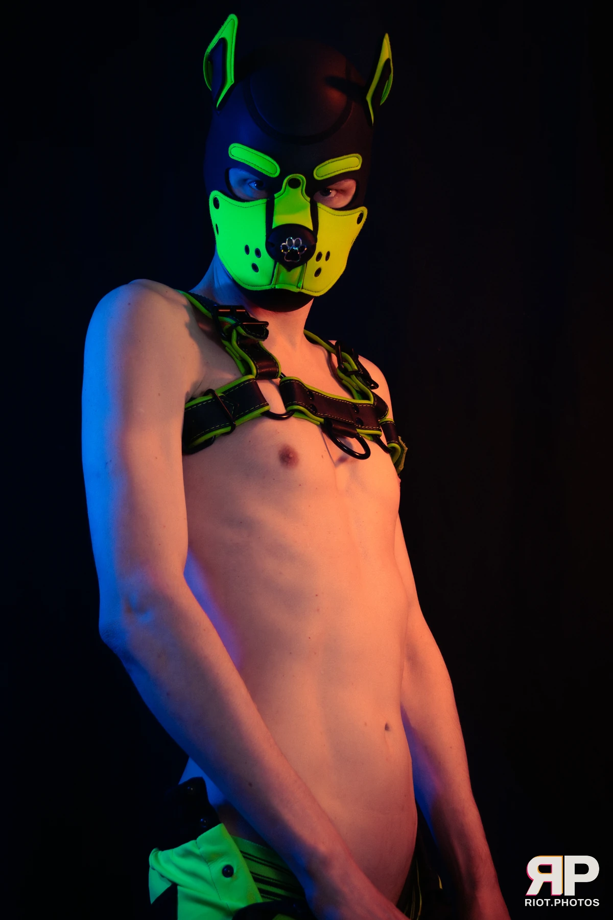 Pupper Kyro — furry & pup photography by Fluffy Riot — photo 34