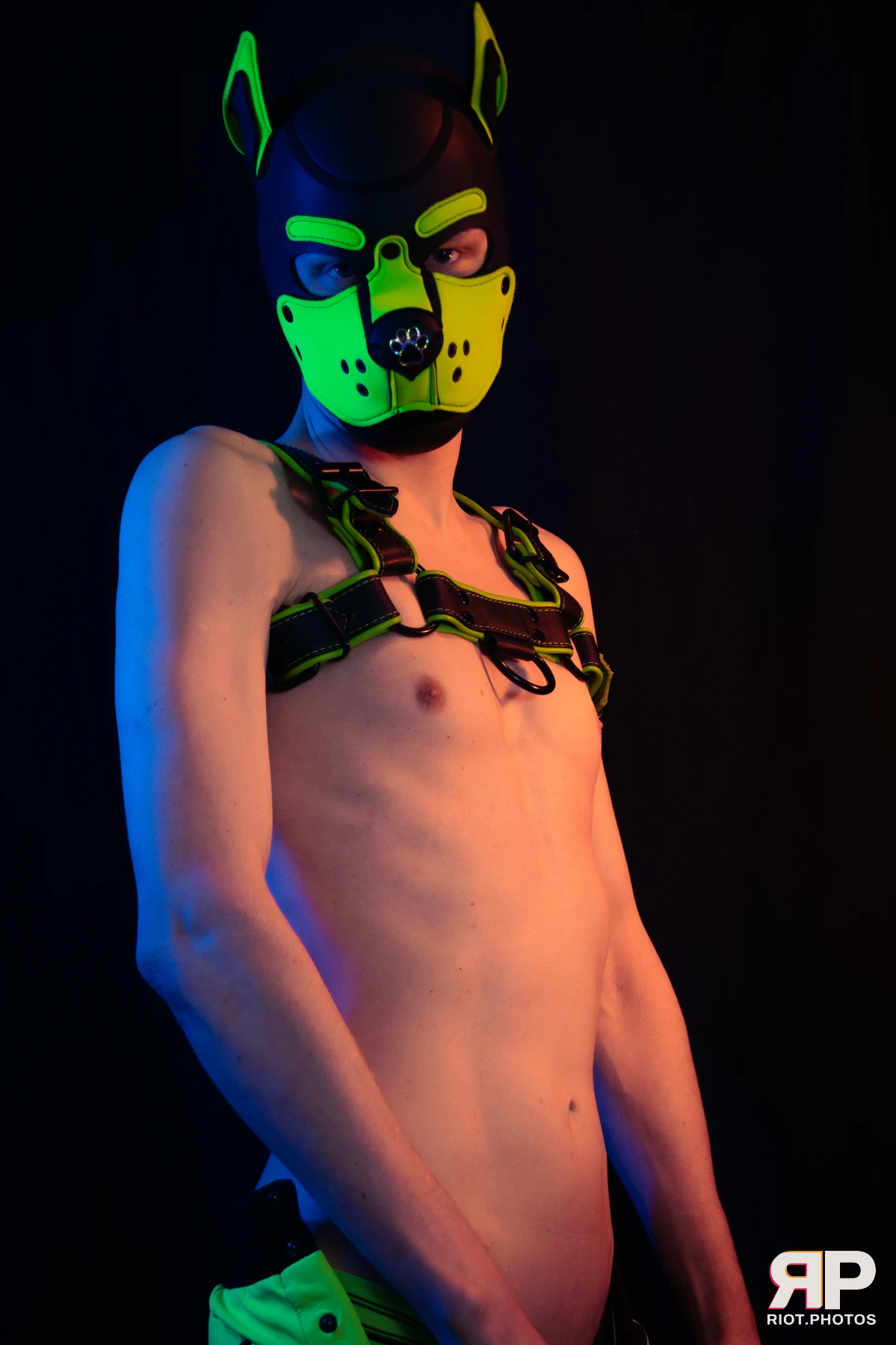 Pupper Kyro — furry & pup photography by Fluffy Riot — photo 35