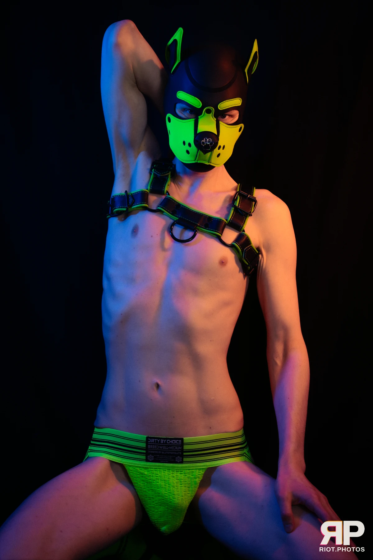 Pupper Kyro — furry & pup photography by Fluffy Riot — photo 38