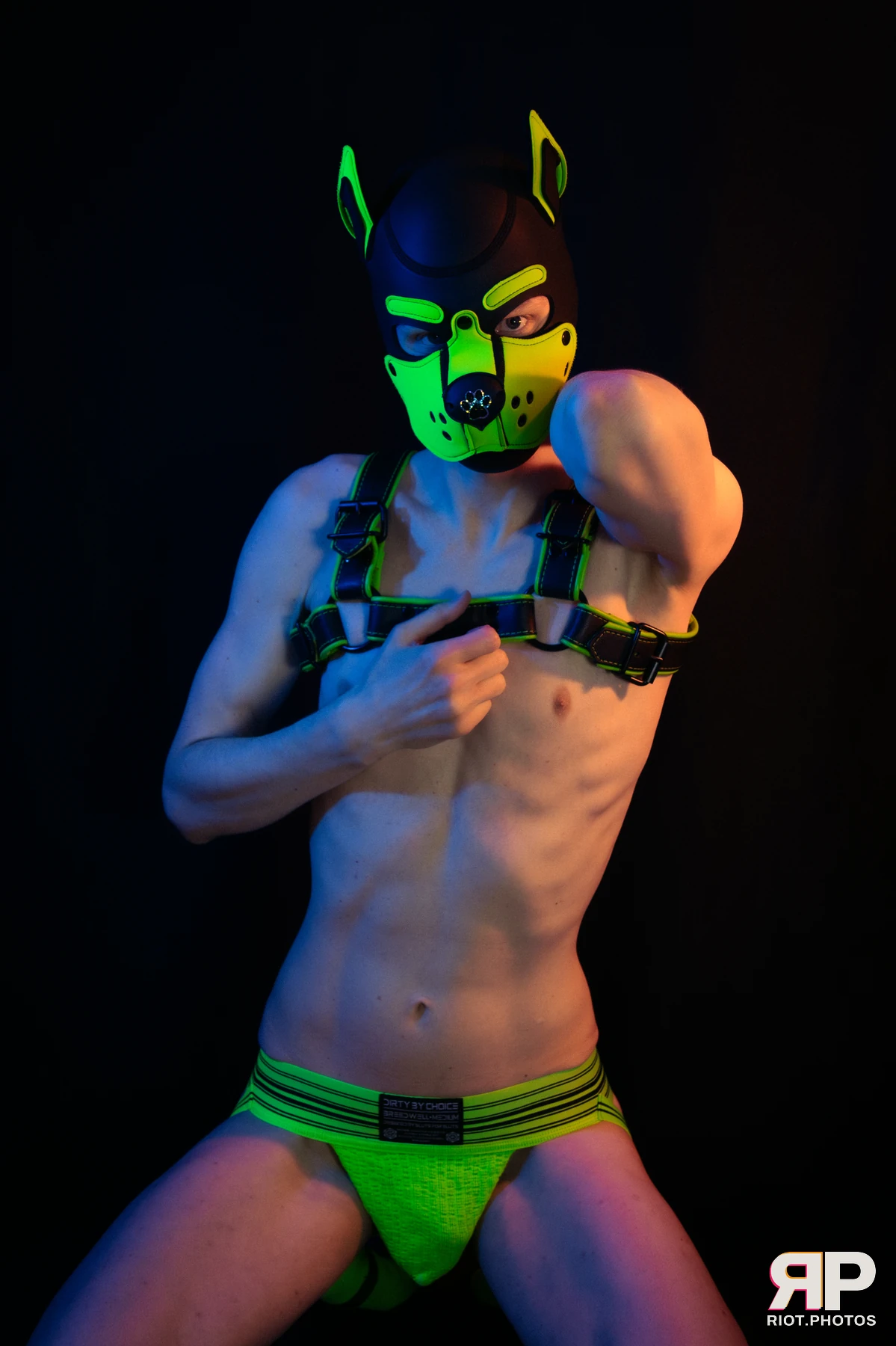 Pupper Kyro — furry & pup photography by Fluffy Riot — photo 41