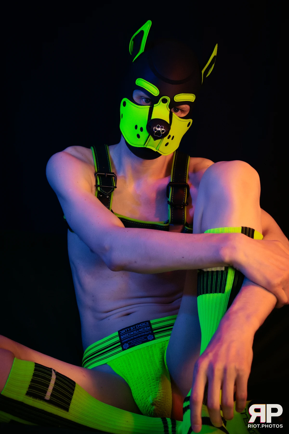 Pupper Kyro — furry & pup photography by Fluffy Riot — photo 53