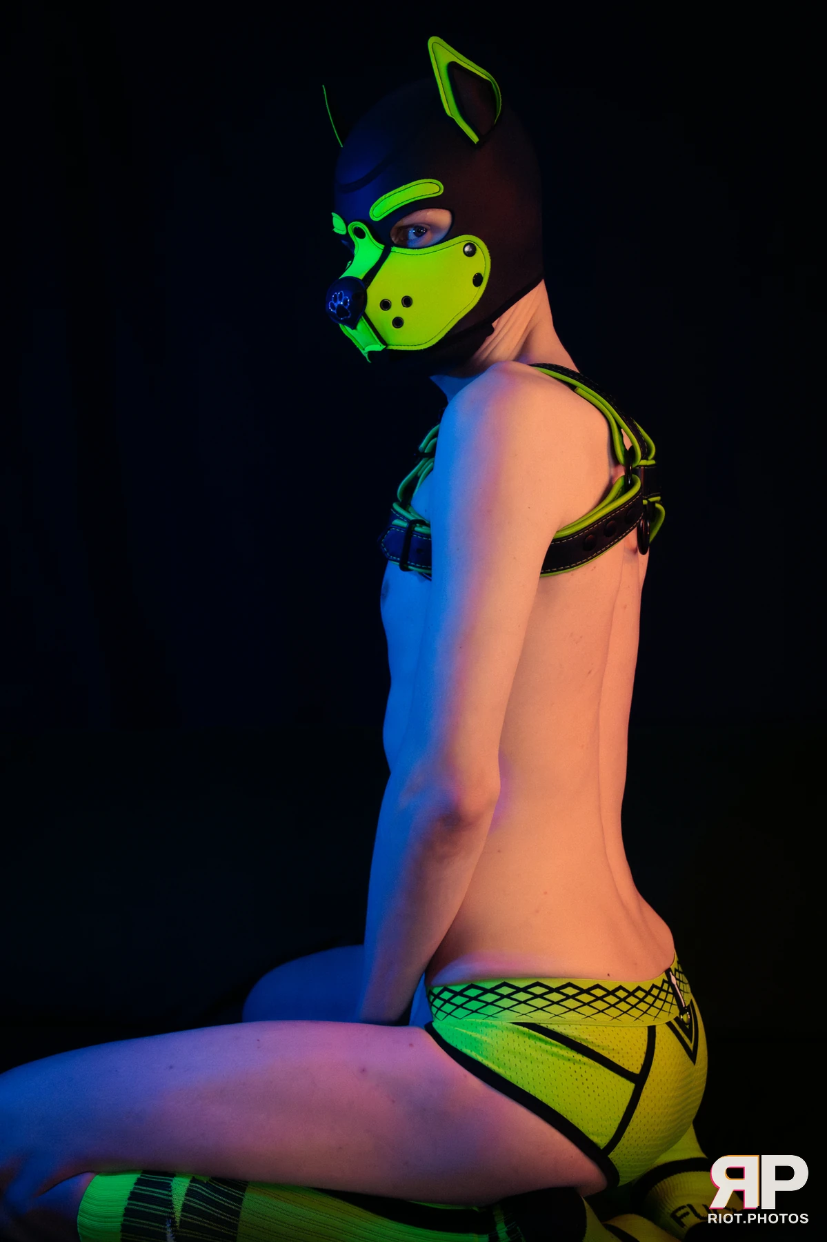 Pupper Kyro — furry & pup photography by Fluffy Riot — photo 55