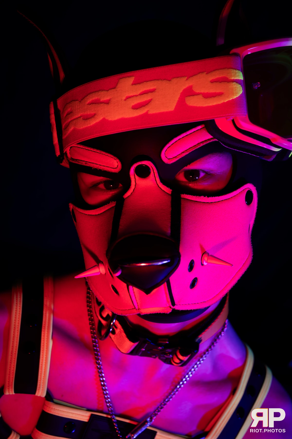 Puppy Pluto — furry & pup photography by Fluffy Riot — photo 14