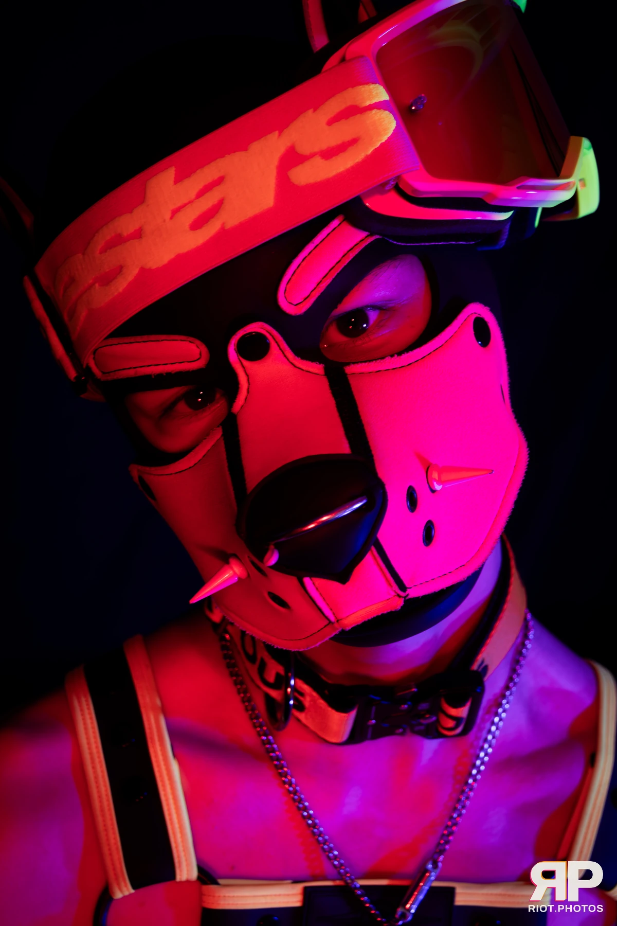 Puppy Pluto — furry & pup photography by Fluffy Riot — photo 15