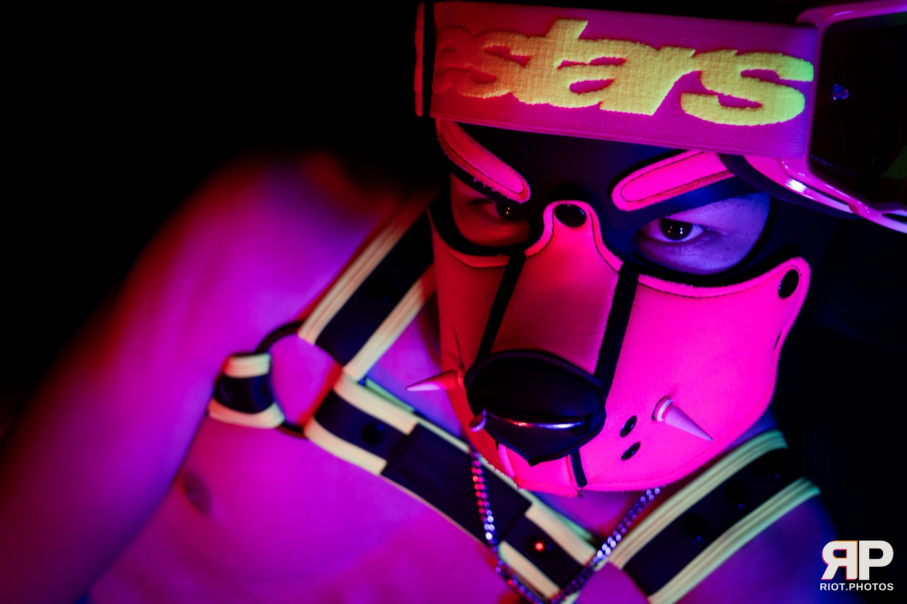 Puppy Pluto — furry & pup photography by Fluffy Riot — photo 18