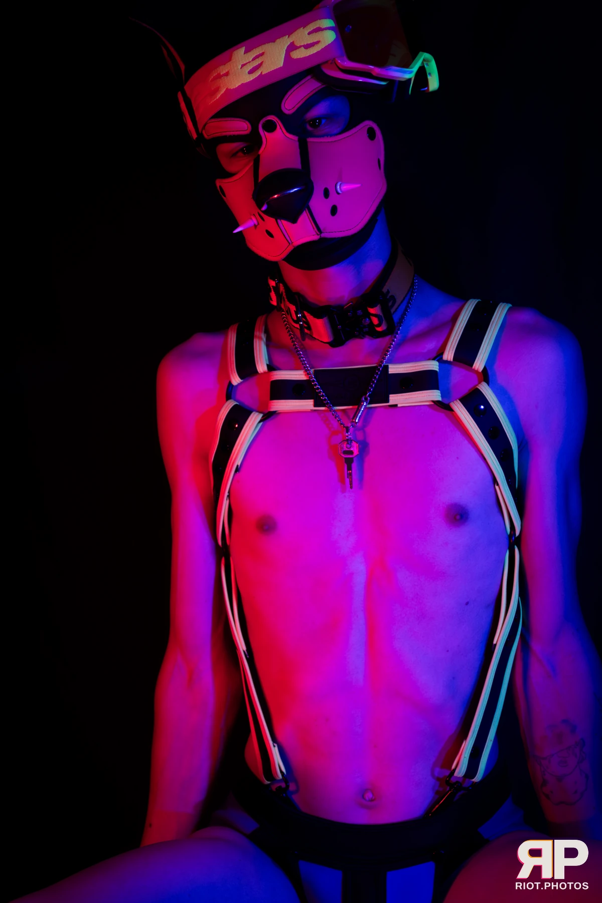 Puppy Pluto — furry & pup photography by Fluffy Riot — photo 22
