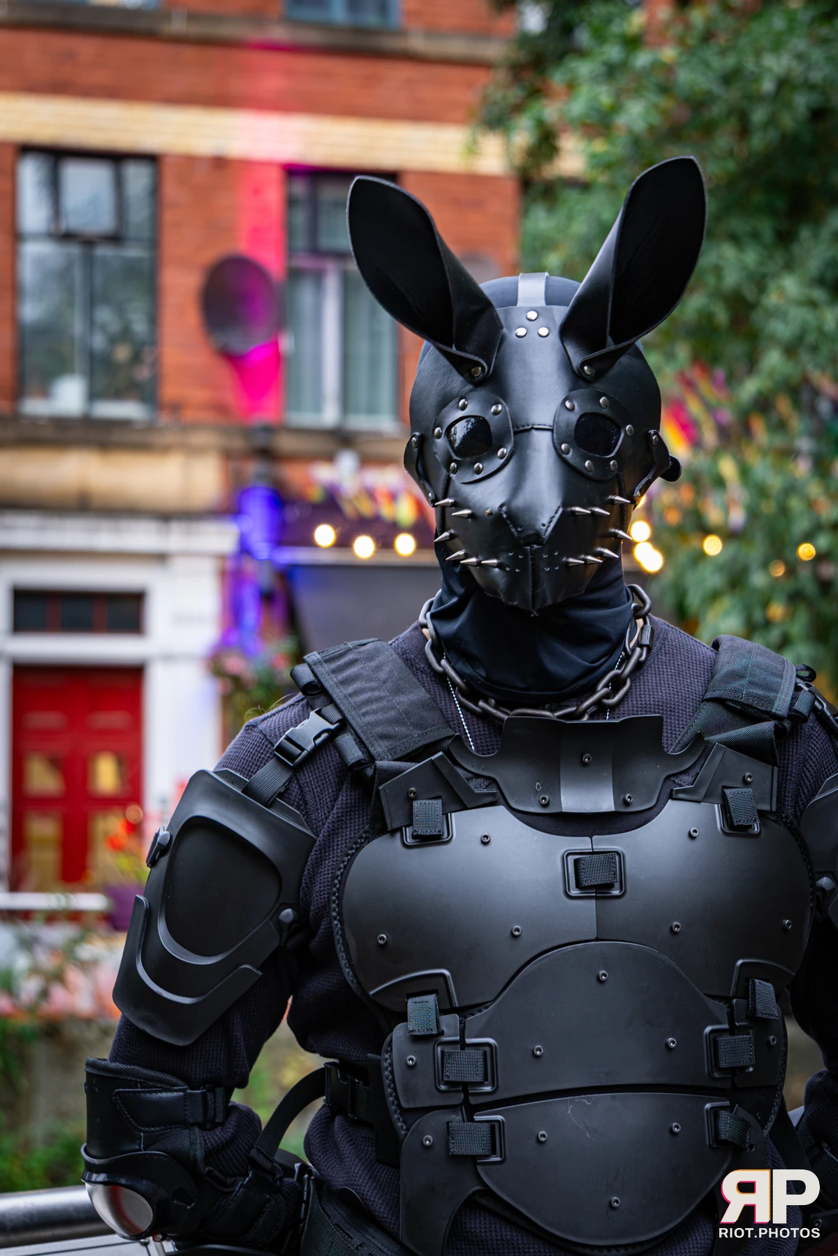 Doggy Weekend 2026 - 18 Oct 2026, Fluffy Riot photography - photo 612