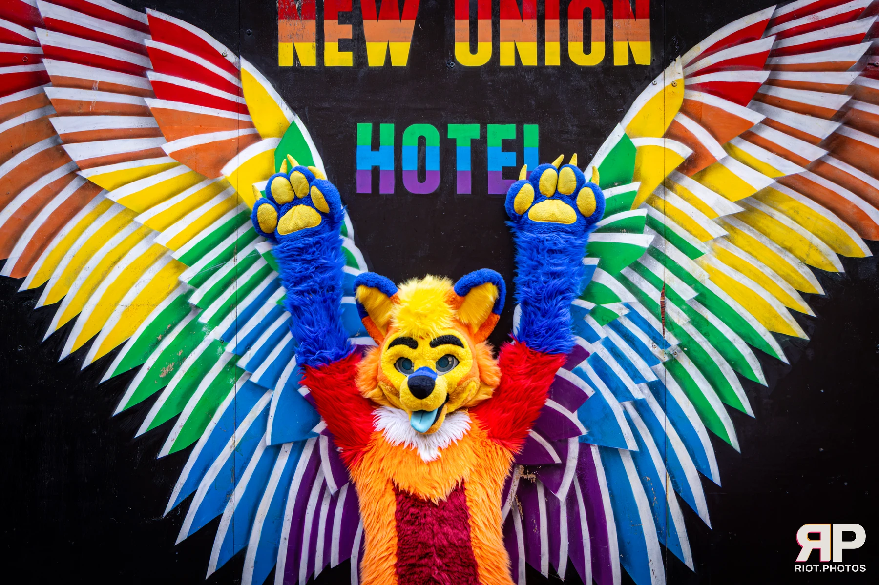 Doggy Weekend 2026 - 18 Oct 2026, Fluffy Riot photography - photo 98