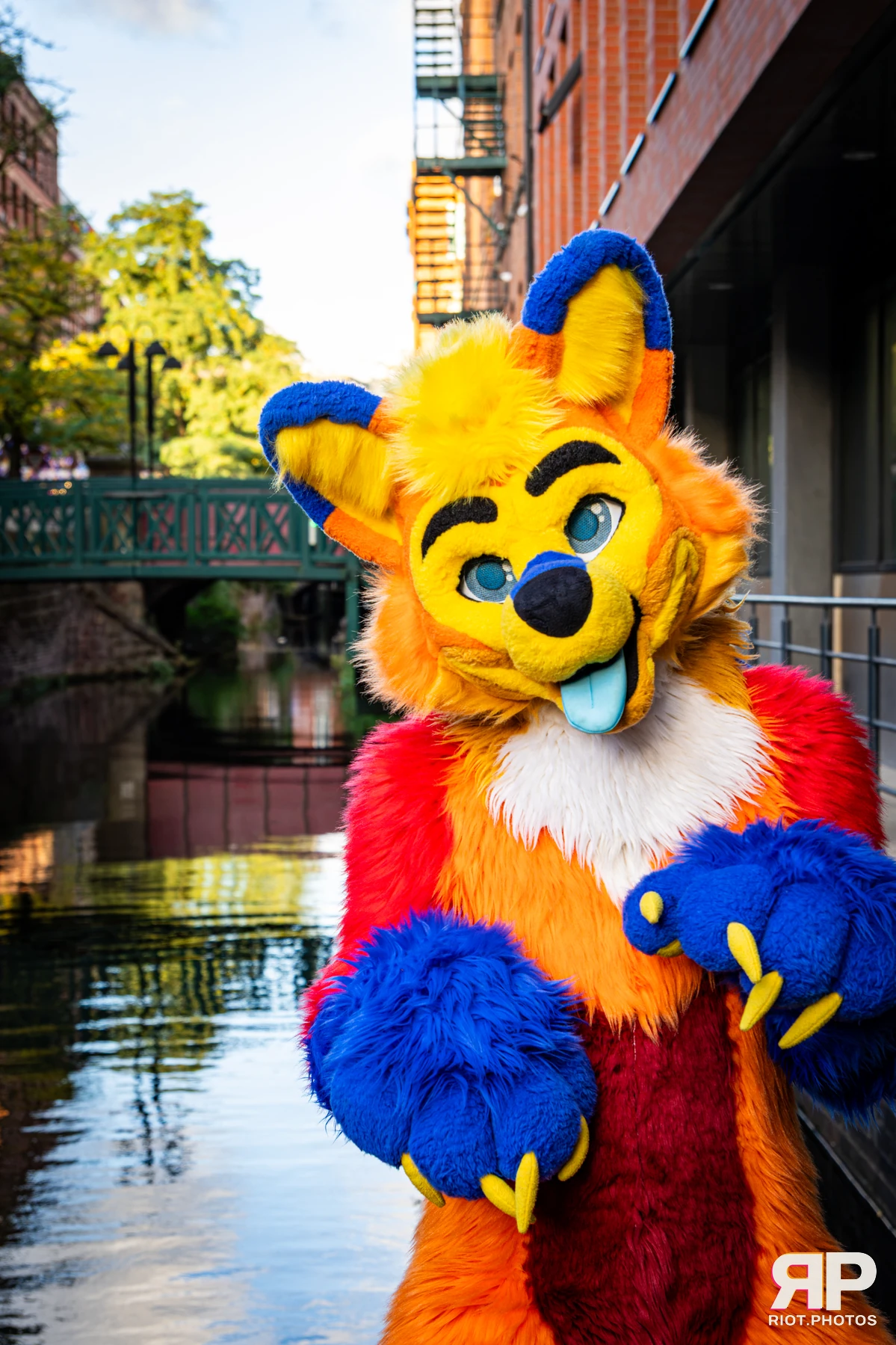 Doggy Weekend 2026 - 18 Oct 2026, Fluffy Riot photography - photo 97