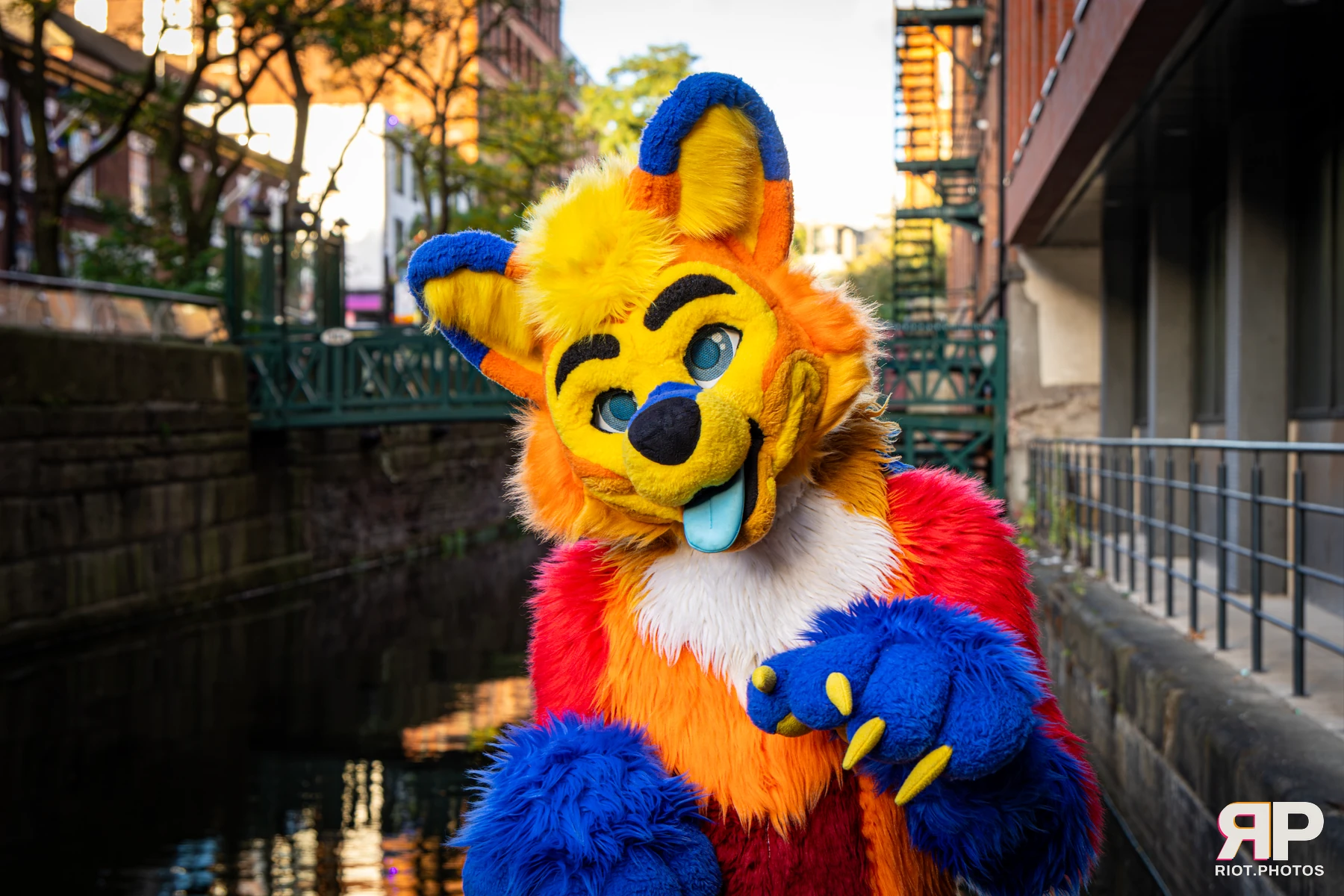 Doggy Weekend 2026 - 18 Oct 2026, Fluffy Riot photography - photo 96