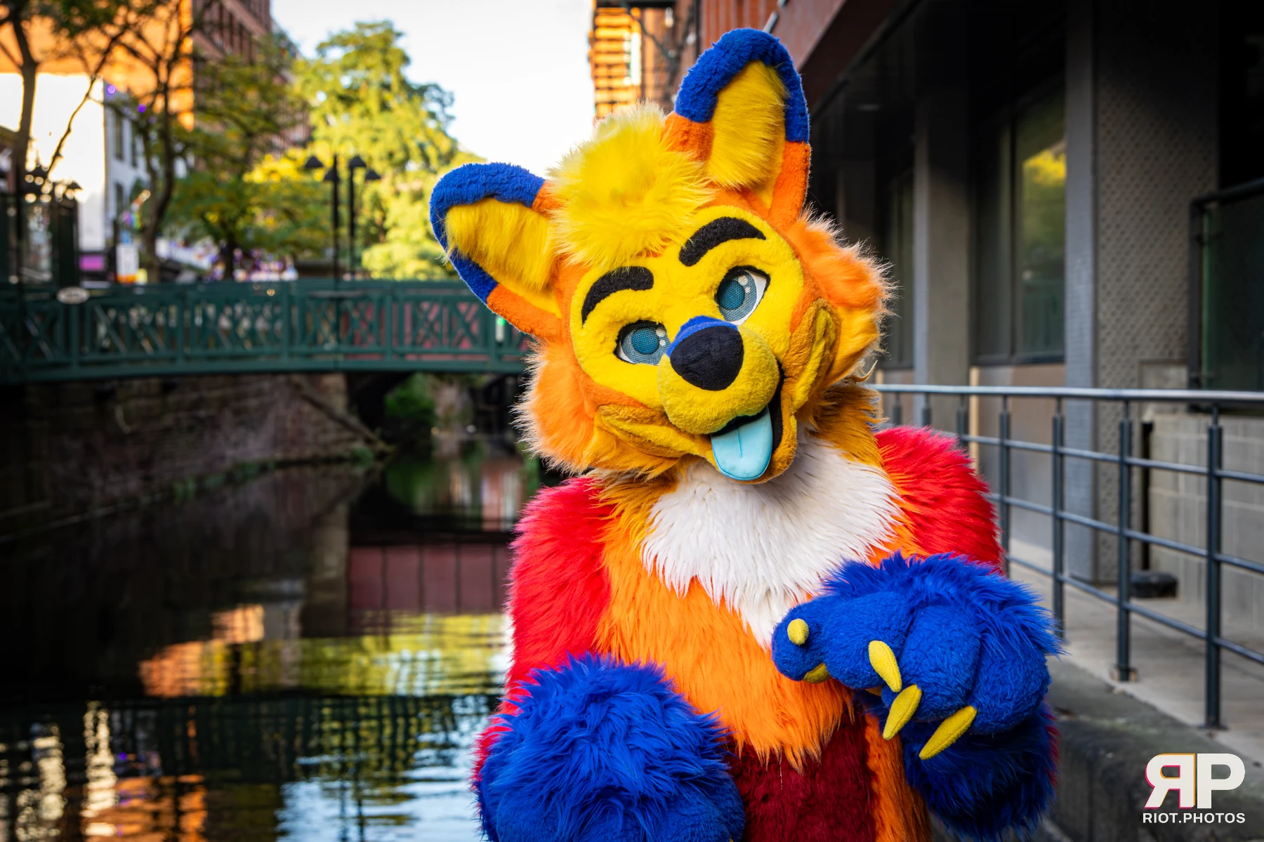 Doggy Weekend 2026 - 18 Oct 2026, Fluffy Riot photography - photo 95
