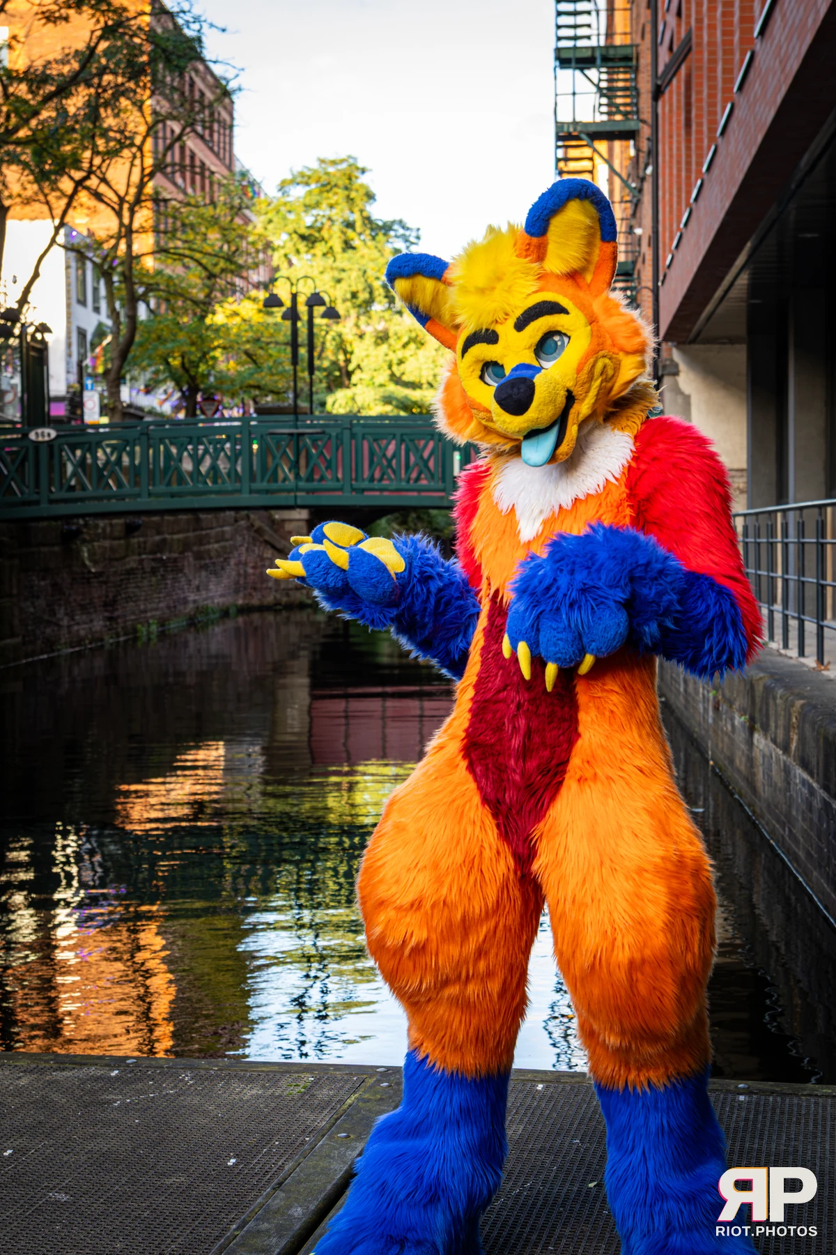 Doggy Weekend 2026 - 18 Oct 2026, Fluffy Riot photography - photo 94