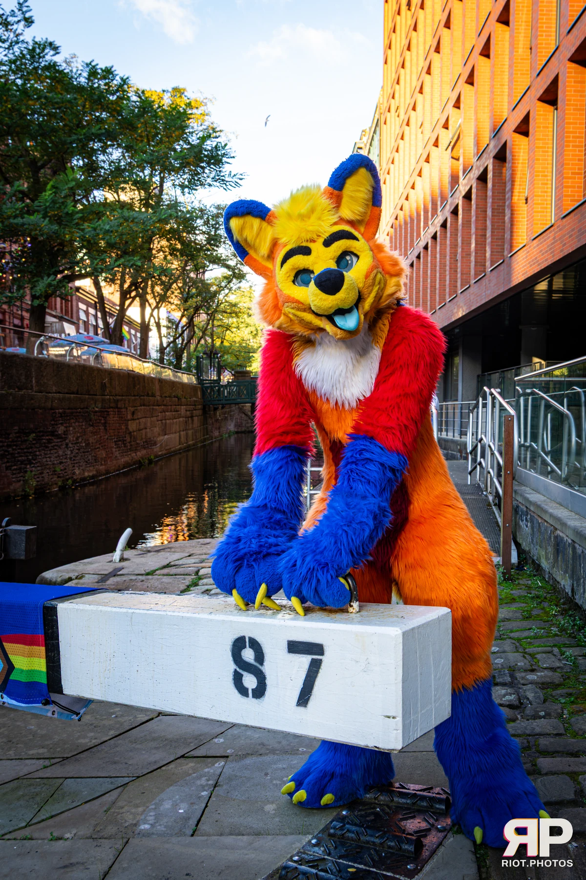 Doggy Weekend 2026 - 18 Oct 2026, Fluffy Riot photography - photo 92