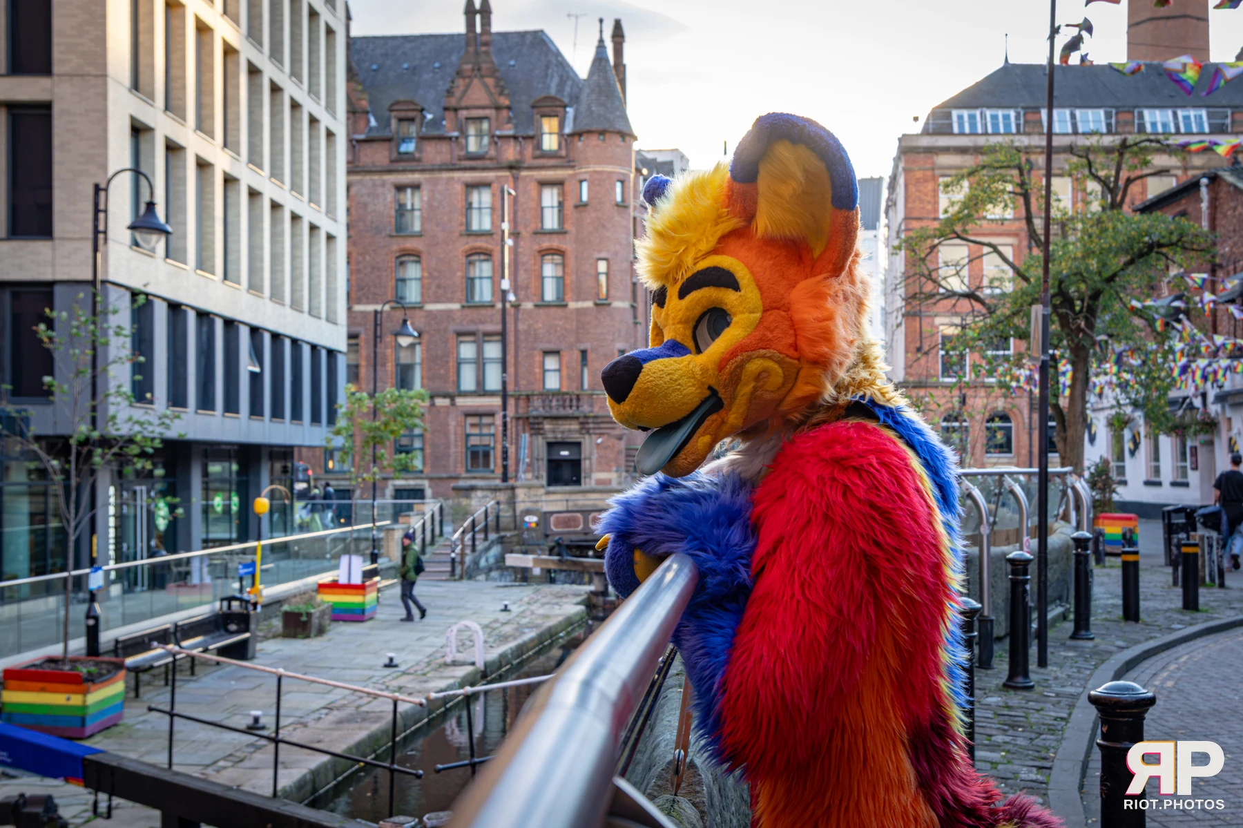 Doggy Weekend 2026 - 18 Oct 2026, Fluffy Riot photography - photo 90