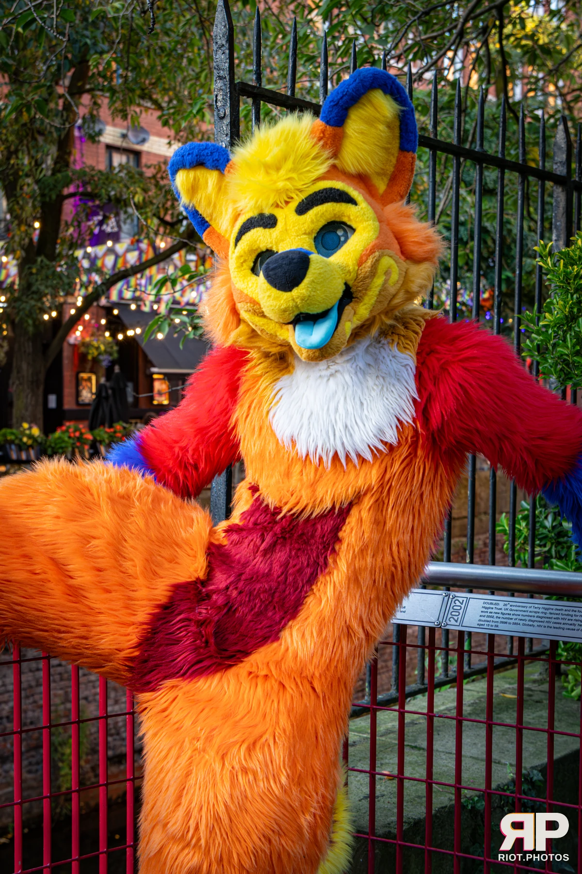 Doggy Weekend 2026 - 18 Oct 2026, Fluffy Riot photography - photo 88