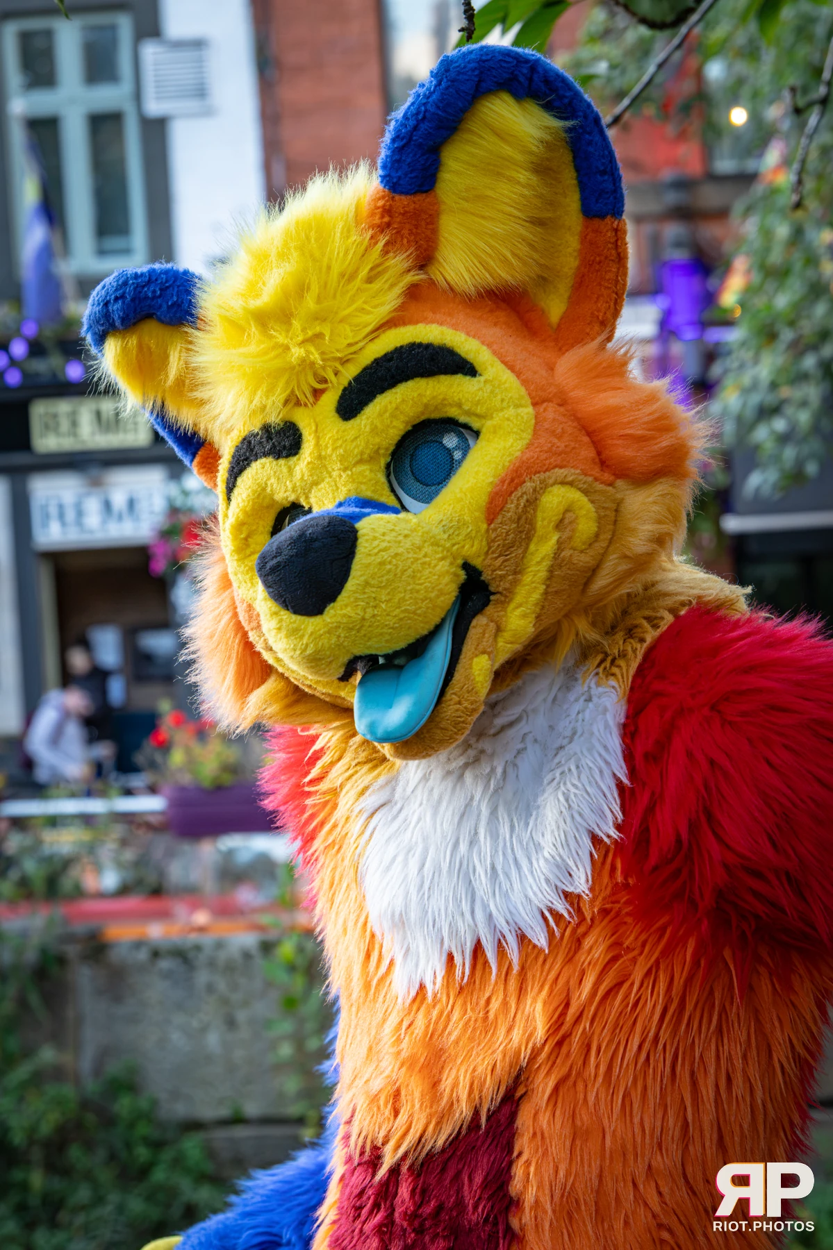 Doggy Weekend 2026 - 18 Oct 2026, Fluffy Riot photography - photo 87