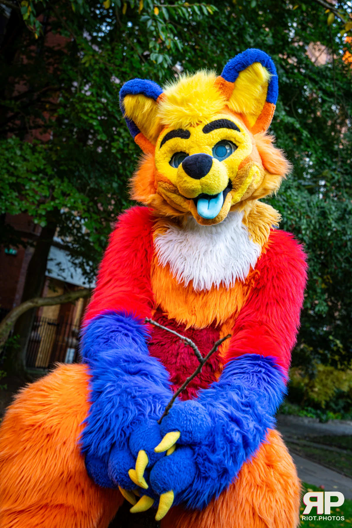 Doggy Weekend 2026 - 18 Oct 2026, Fluffy Riot photography - photo 84