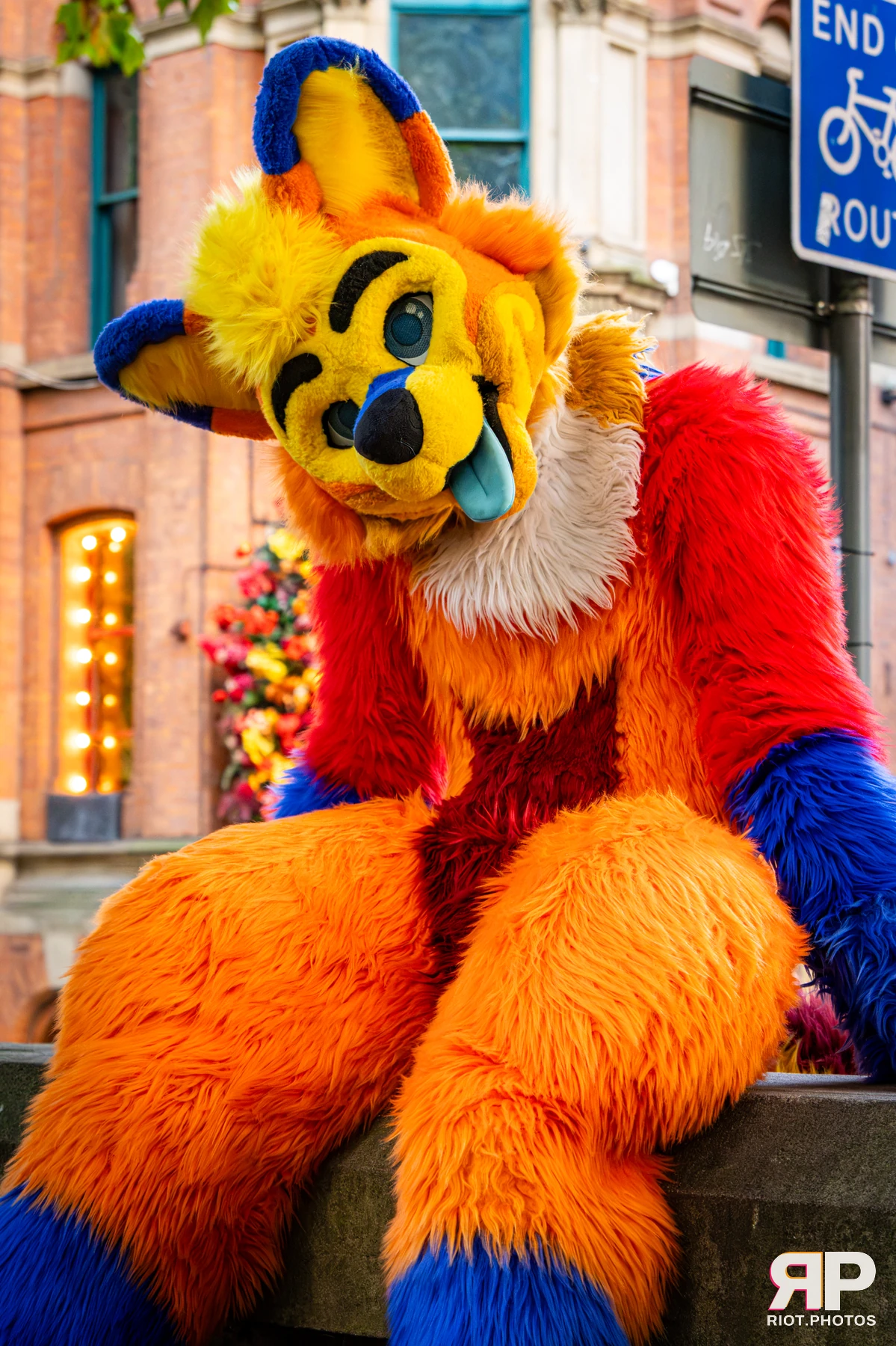 Doggy Weekend 2026 - 18 Oct 2026, Fluffy Riot photography - photo 80