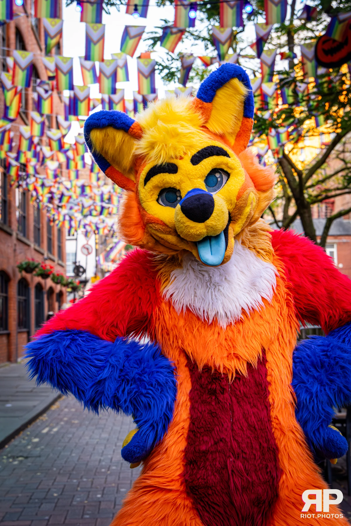 Doggy Weekend 2026 - 18 Oct 2026, Fluffy Riot photography - photo 77