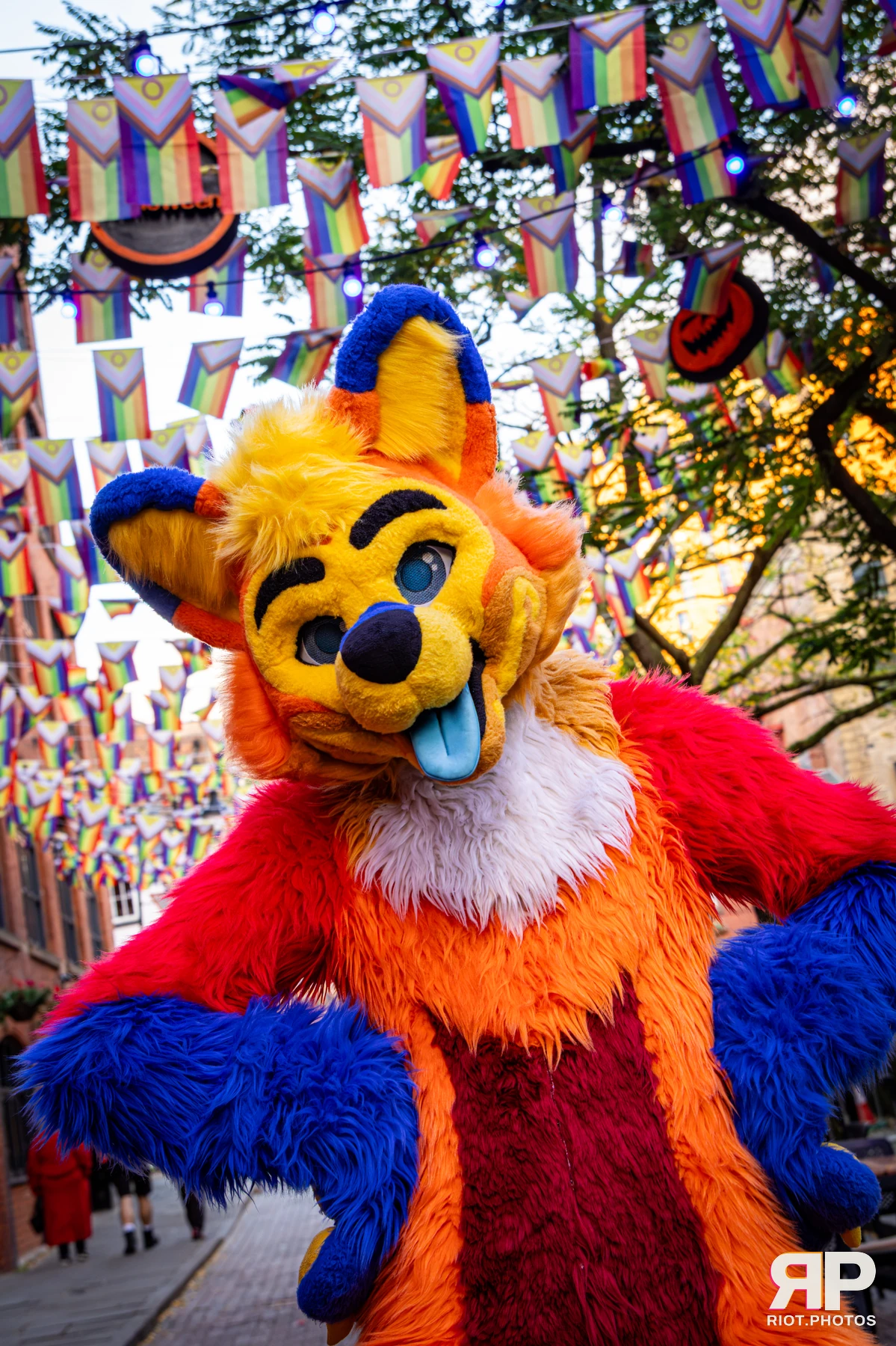 Doggy Weekend 2026 - 18 Oct 2026, Fluffy Riot photography - photo 76