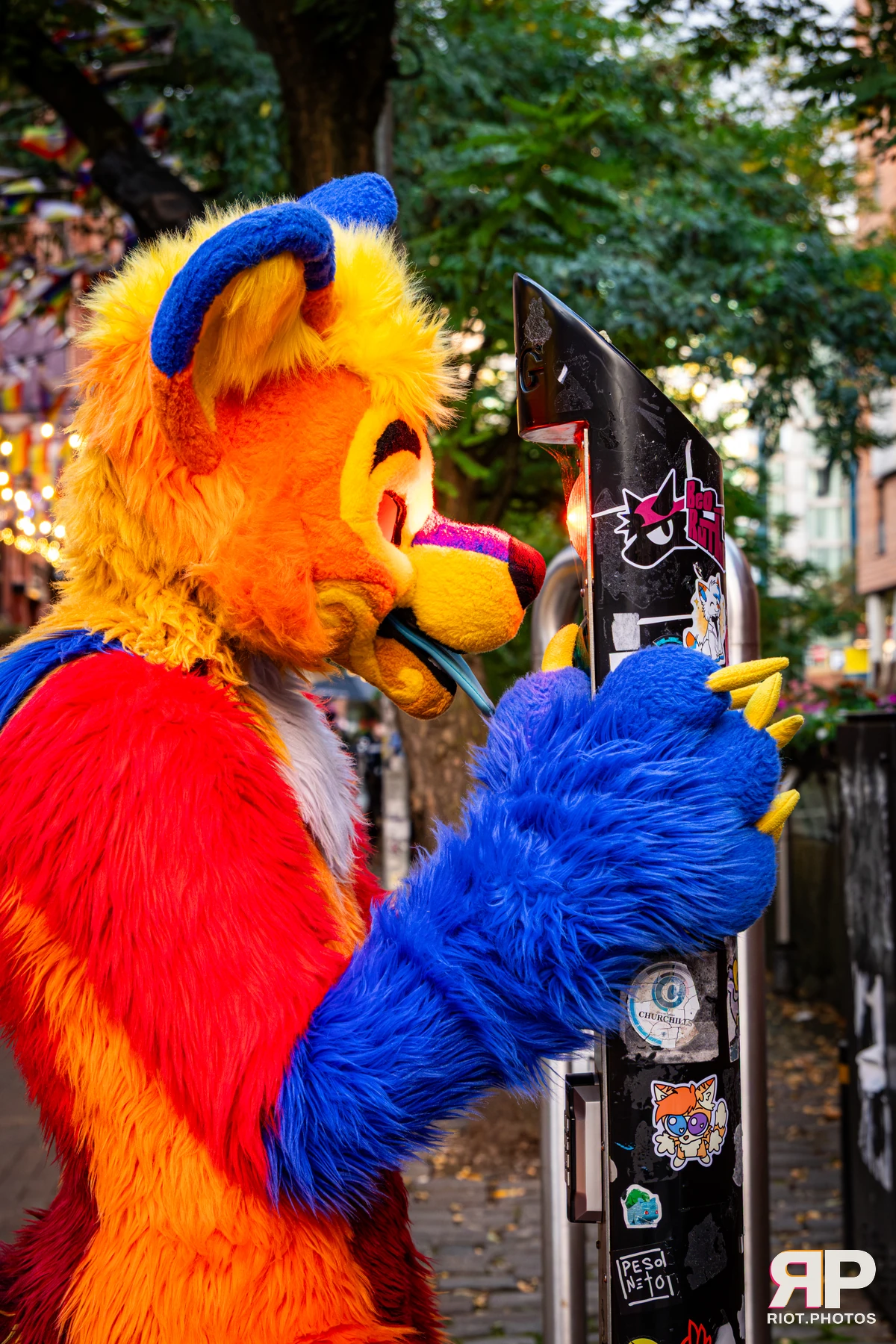 Doggy Weekend 2026 - 18 Oct 2026, Fluffy Riot photography - photo 75